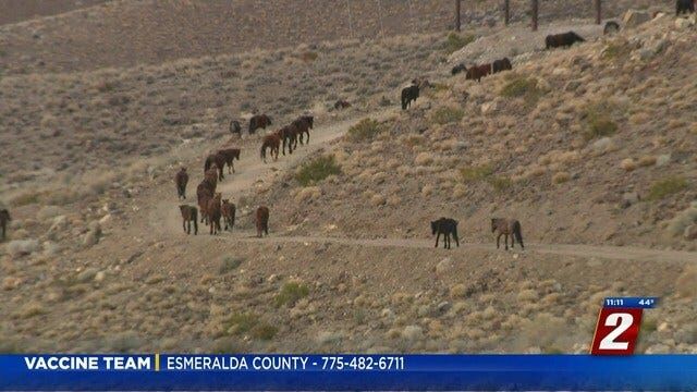 'The Canyons' Proposed Development in South Reno Moves Forward