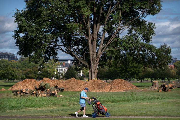 Trump Golf Course