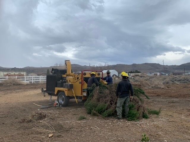 Truckee Meadows Fire & Rescue Green Waste Collection