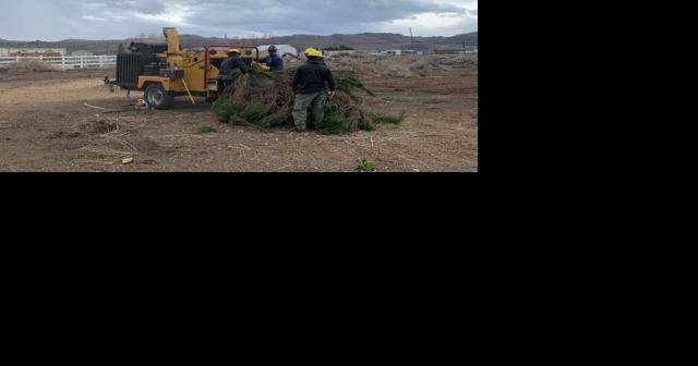 Truckee Meadows Fire & Rescue Green Waste Collection - Vimarsana News