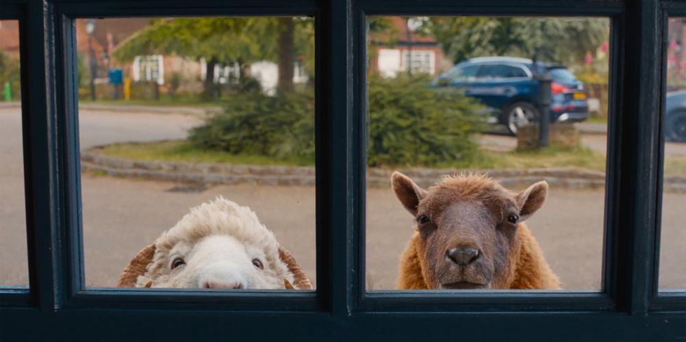 Film Review - The Sheep Detectives