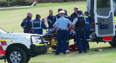 Zookeeper Critically Mauled by Two Lions at Shut Australia Zoo