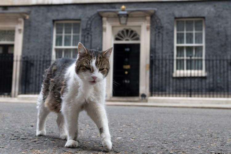 APTOPIX Britain Politics