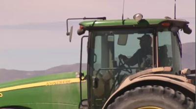 Extra Water Gives Hope To Lovelock Farmers