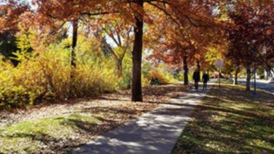 Riverside Pathway Closure