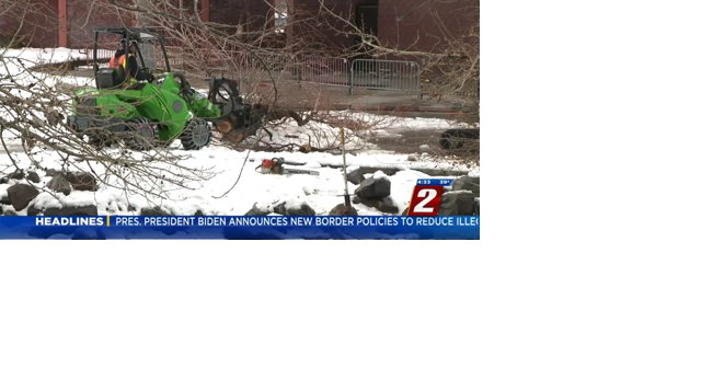 Tree Damage From Recent Storms - Vimarsana News