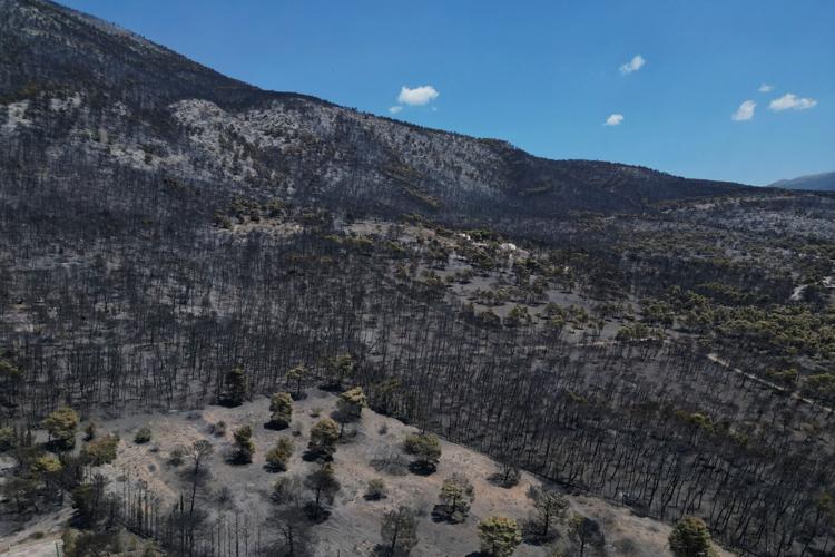 Greece Wildfire