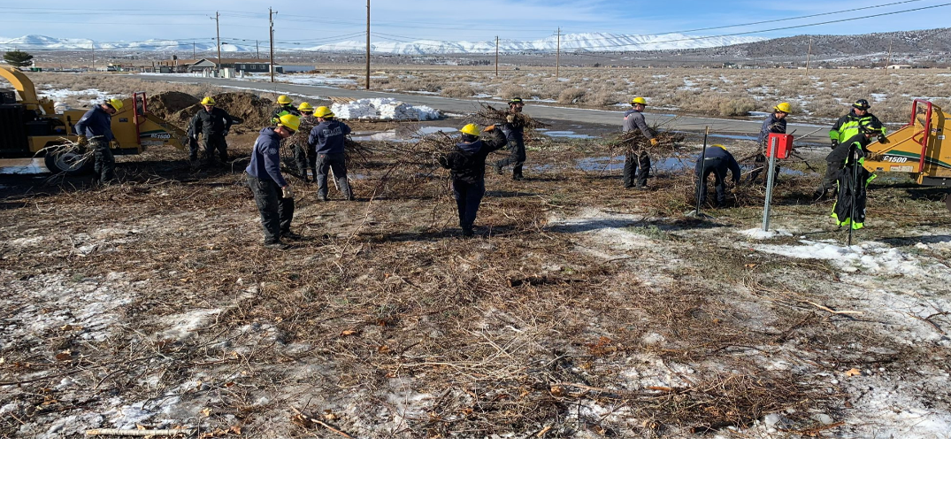 Truckee Meadows Fire & Rescue announce curbside chipping program | News ...