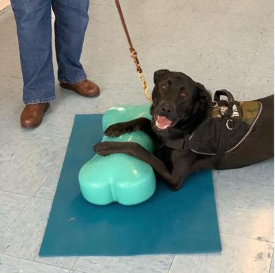 Local Nonprofit Cancels Fundraiser for Veterans