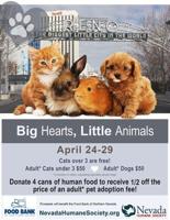 Big Hearts, Little Animals Brings People and Pets Together