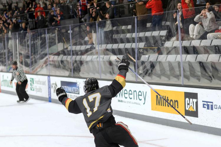 Ice Rink Shooting Game Hockey