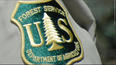 US Forest Service patch