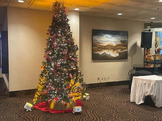 gold star tree lighting 3.jpg