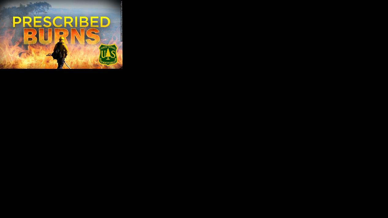 Prescribed burning US Forest Service