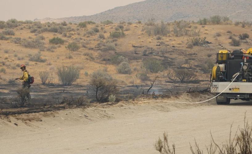 Bug and Stallion fires burn scar