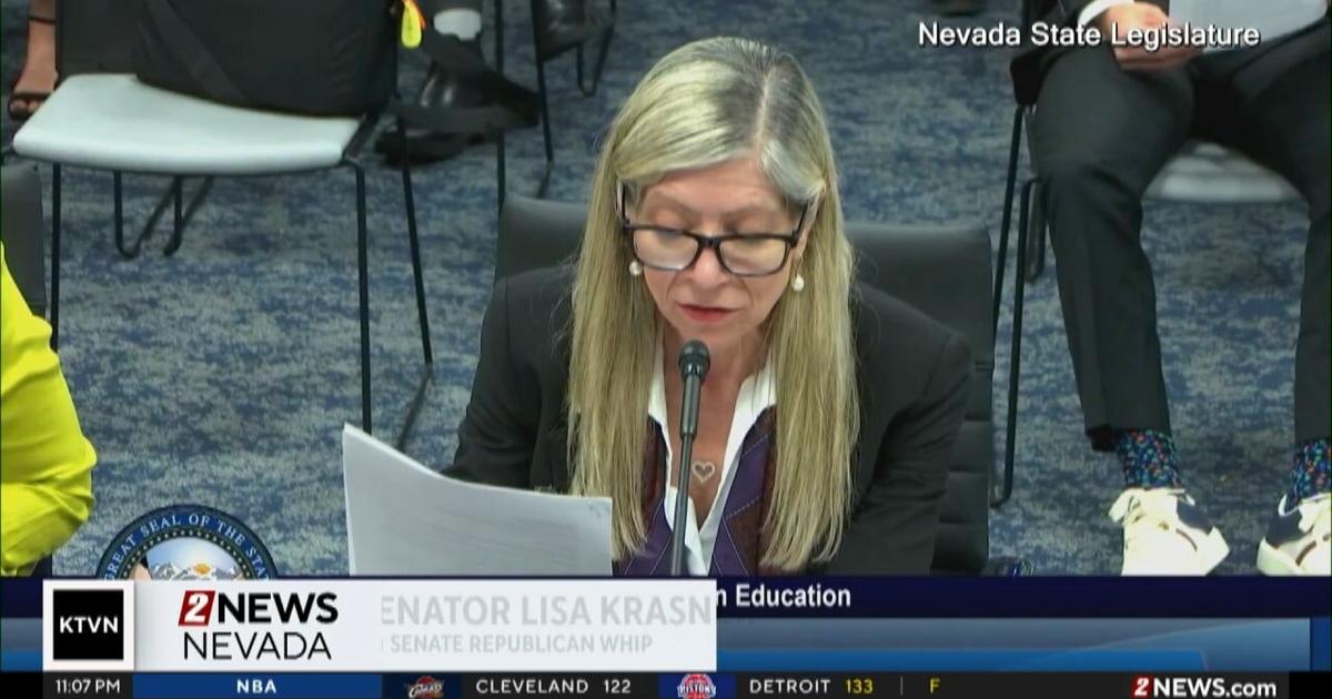 Nevada State Senator Lisa Krasner presents education bills | Local News ...