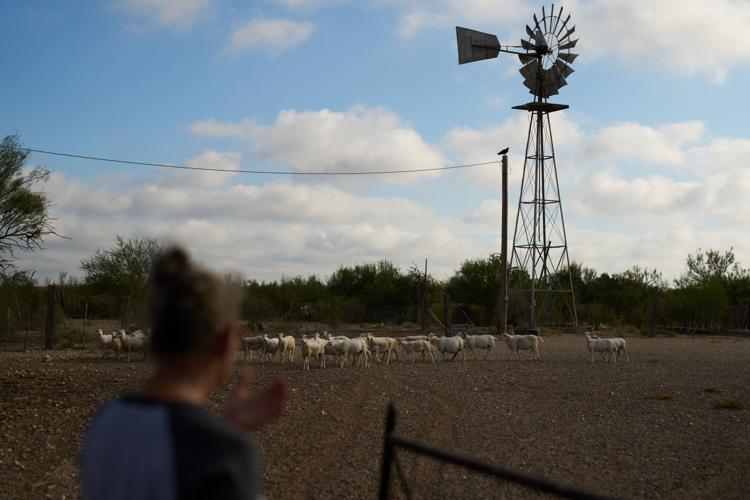Border Wall Land Owners Photo Essay