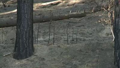 Fire Experts Review Prescribed Burn That Caused Little Valley Fire
