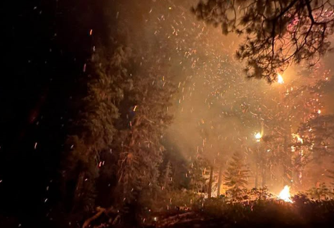 Hunter Fire