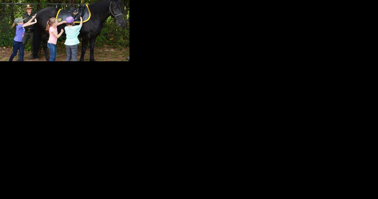 Truckee ‘Ride with Pride’ Horse Camp registration ends Monday | California News – KTVN