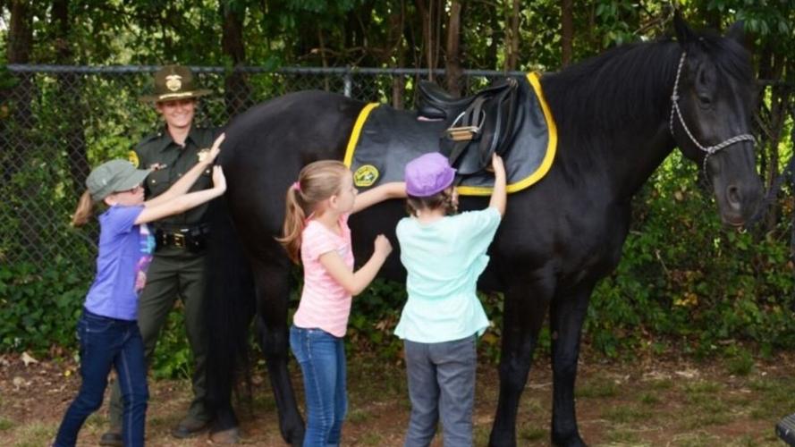 Ride With Pride - previous year