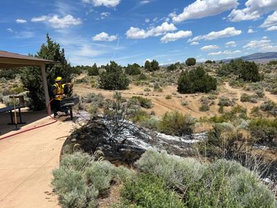 Brush Fire