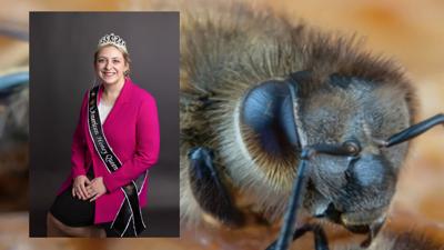 American Honey Queen