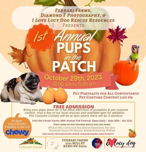 Pups in the Patch
