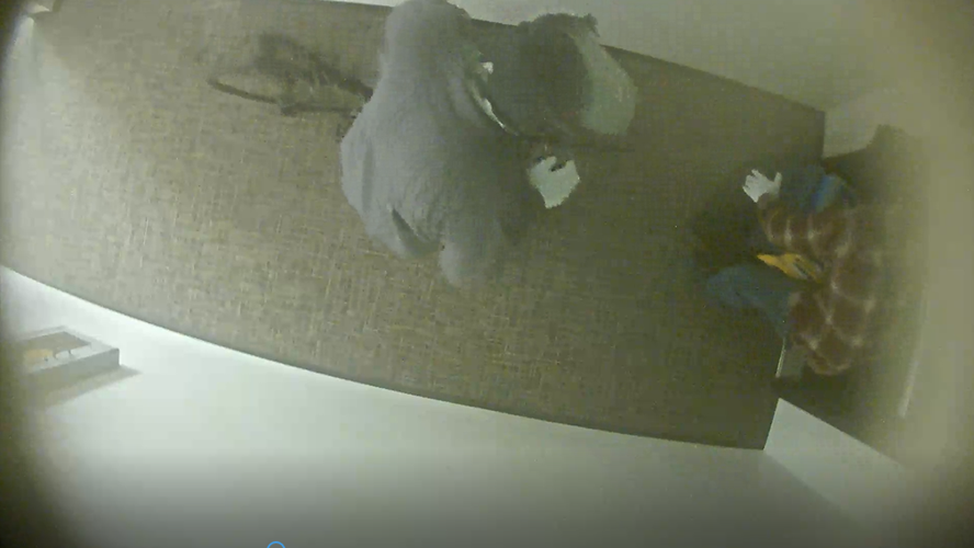 Carson City burlgary suspects