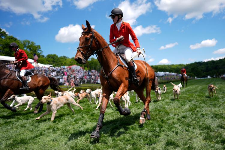 Iroquois Steeplechase Foxhounds