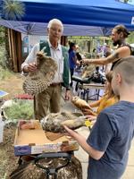 Summer evening programs return to Taylor Creek Visitor Center