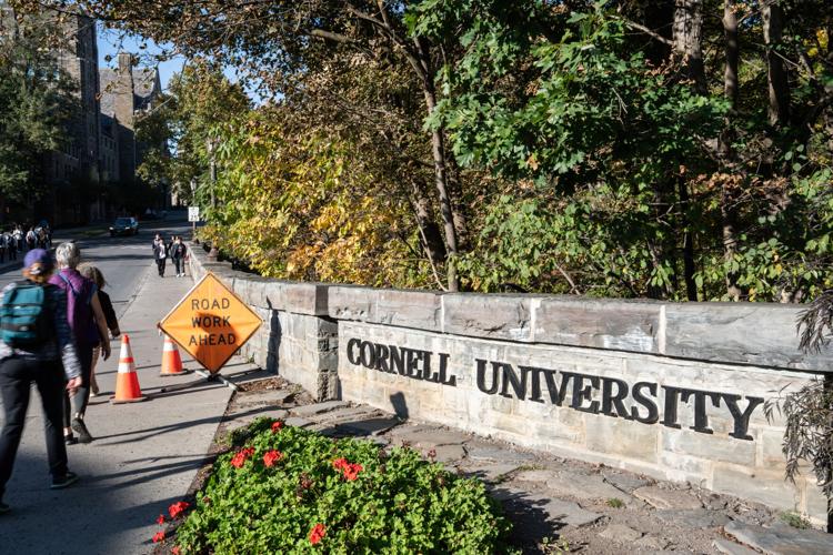 Cornell Investigation