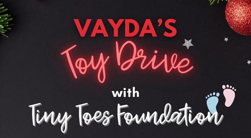 Vayda's Toy Drive gfx