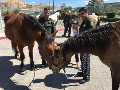 Washoe County Sheriff's Office to Revive Mounted Horse Unit