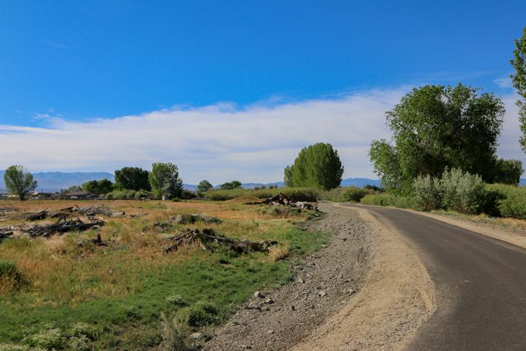 Martin Slough Trail 3.jpg