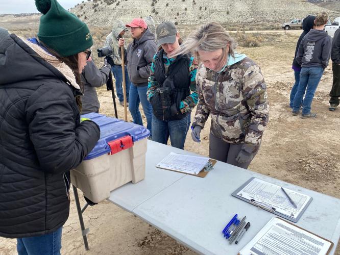 Sage Brush Planting to Restore Wildlife