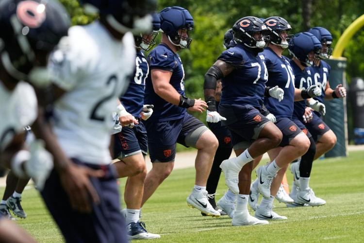 Bears Football
