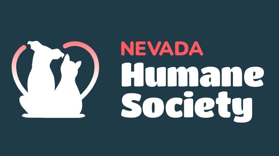 humane tribe pet locator tag