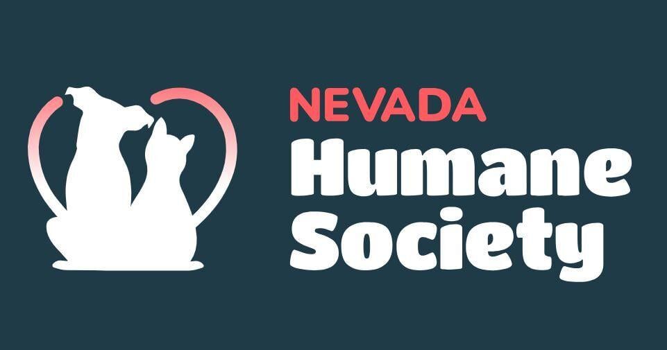 Nevada Humane Society to hold adoption events as Reno shelter nears