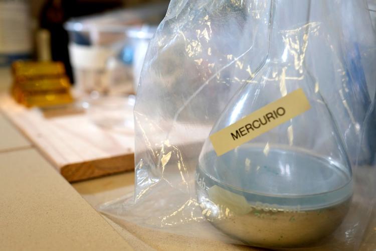Brazil Amazon Gold Lab