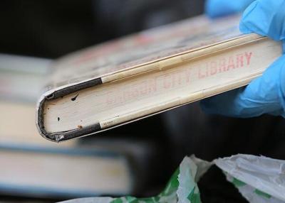 Bed Bugs Found in 5 Books at Carson City Library