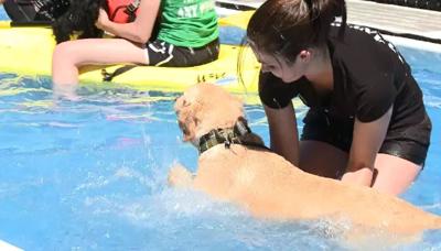 K9 Games Reno Makes a Splash With New Dog Pool