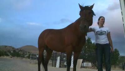 Someone 2 Know: Nevada Discovery Ride