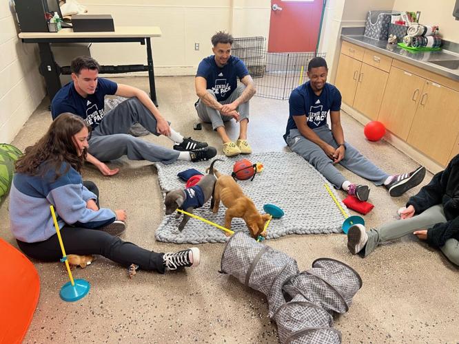 Nevada Wolf Pack Players Visit Nevada Humane Society For National Puppy Day