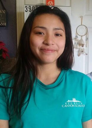 Police Say Missing Wadsworth Teen Returns Home
