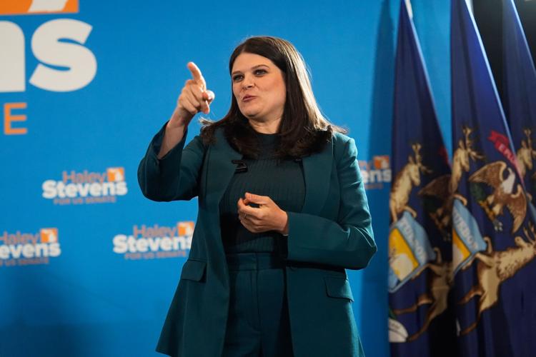 Election 2026 Michigan Senate