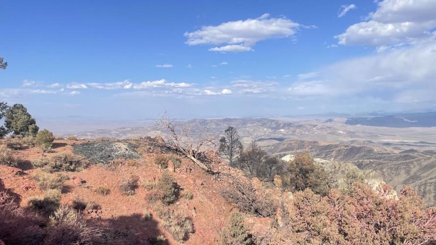 Blue Eagle Fire 090126 .jpg