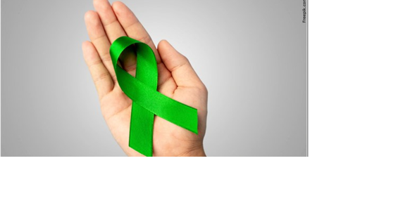 Senator Rosen Helps Introduce Bipartisan Bill To Address Veteran Mental Health Crisis - Vimarsana News