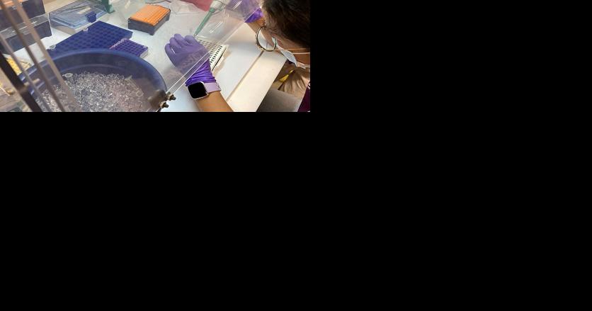UNR Wastewater Data Shows 99% of COVID-19 Signatures Sequenced Are Omicron BA.2 Variant - Vimarsana News