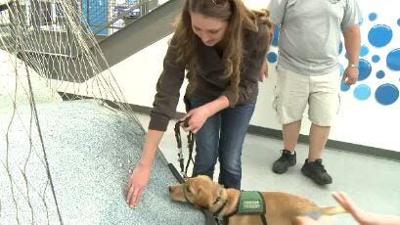 Someone 2 Know: Guide Dog Puppy Raisers